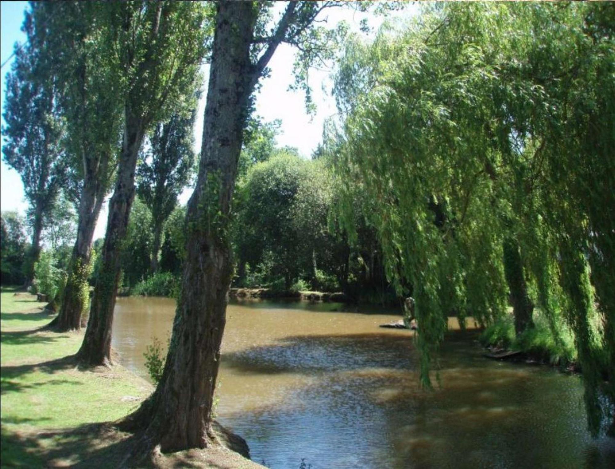 Camping Smile & Braudieres Mézières-sous-Lavardin المظهر الخارجي الصورة